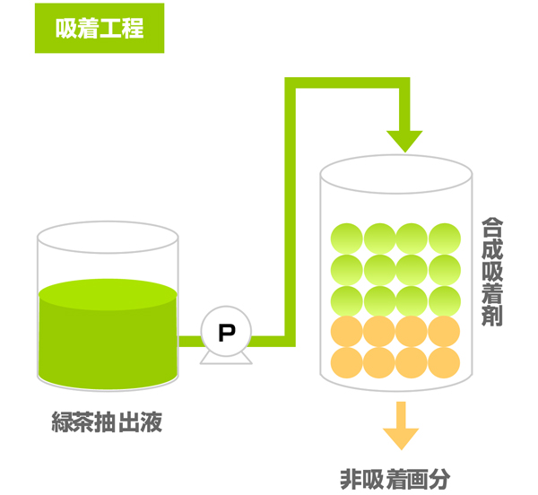 合成吸着剤による緑茶ポリフェノールの抽出